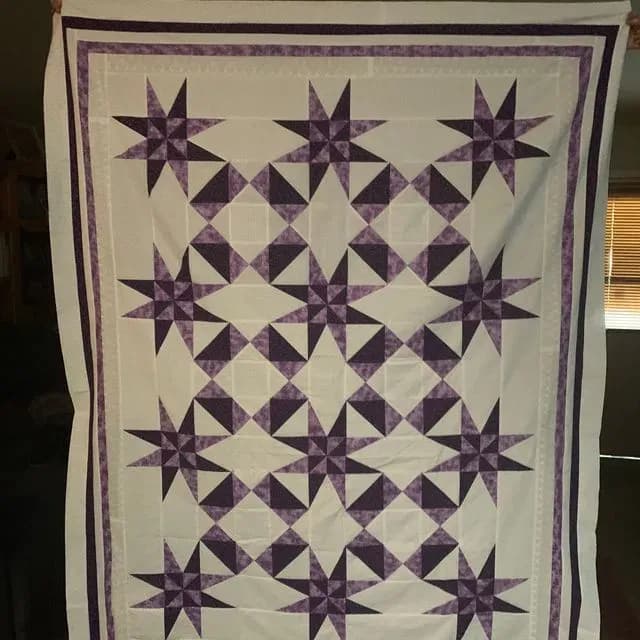 Purple Tri Rec Stars