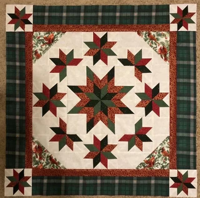 Tami’s LeMoyne Star