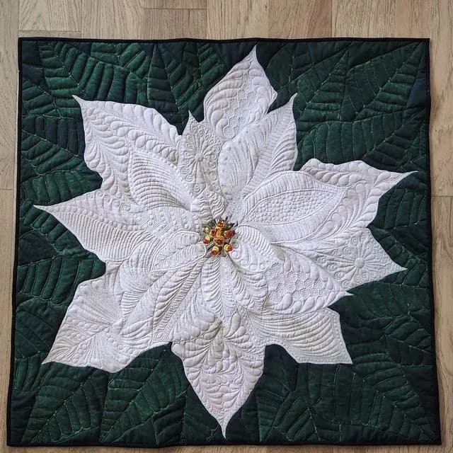 Poinsettia
